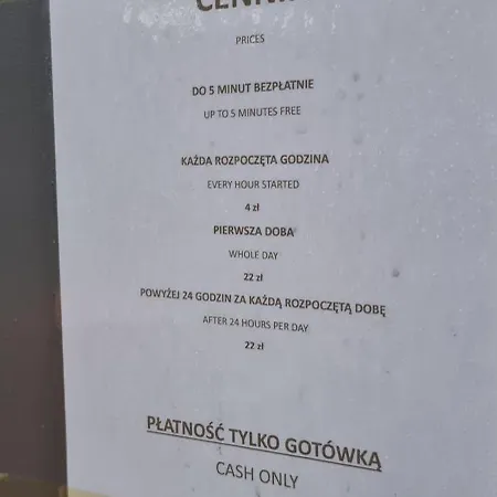 Zloty Jelonek Na Placu Ratuszowym *